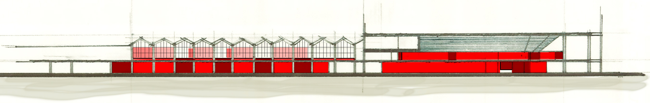 Arena